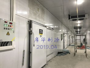 庫華制冷工程案例分享 奶茶 五期 大型食品冷庫設(shè)計(jì)安裝